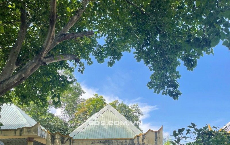 Bán ĐẤT có Công Trình Tôn Giáo Sẵn Sổ hồng công chứng ngay Hỗ Trợ Chuyển Nhượng Đúng Đối Tượng